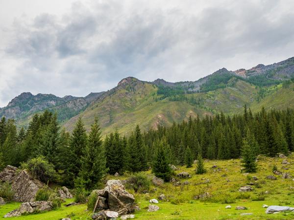 Алтай. Водителям Чуйского тракта.