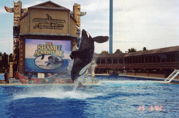 Калифорния. Часть 3. Sea World в Сан-Диего. Калифорния. Часть 3. Sea World в Сан-Диего.