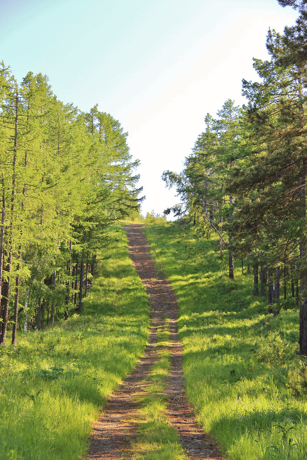 А как выглядит горнолыжка летом? (Абзаково)