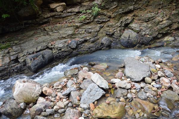 Окаменелый лес Пуянго. Эквадор