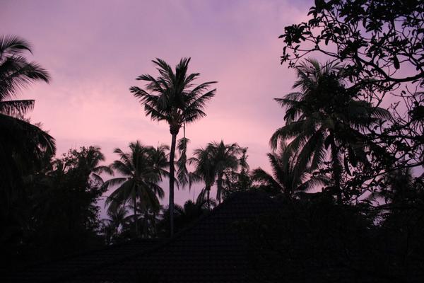 Таиланд/Thailand 2017 Таиланд/Thailand 2017