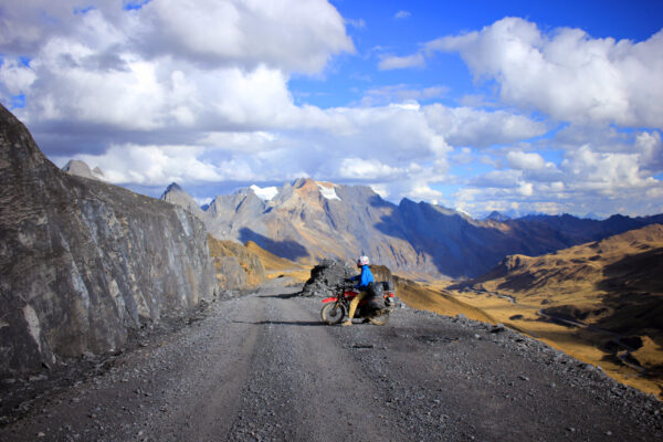 По следам динозавров По следам динозавров