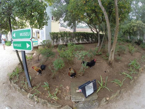 Ч.2&nbsp;&mdash; Кашкайш