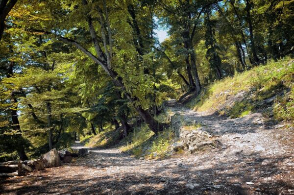 Анакопийская крепость на&nbsp;Иверской горе