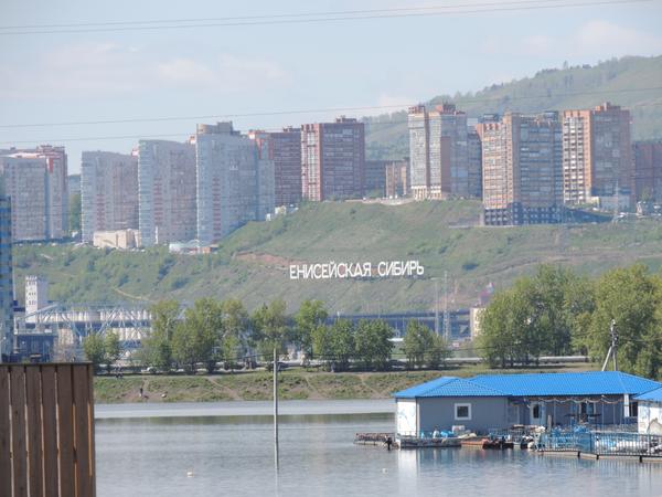 Утки стали ближе к&nbsp;людям (в&nbsp;Красноярске подтопило набережные)