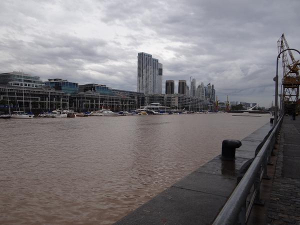 Откуда тигры в Аргентине? Откуда тигры в Аргентине?