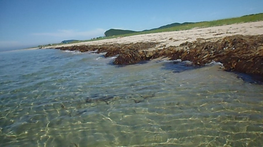 Вода и песок Соколовской бухты Японского моря