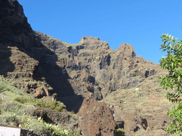 Тенерифе-остров вечной весны.