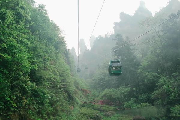 Поднебесная. Часть 5. Чжанцзяцзе и гора Аллилуйя-Аватар. Поднебесная. Часть 5. Чжанцзяцзе и гора Аллилуйя-Аватар.