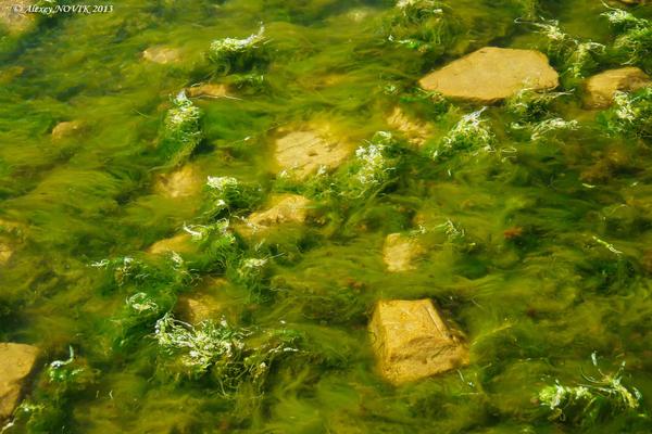 ФОТОПРОГУЛКА. К&nbsp;МОРЮ