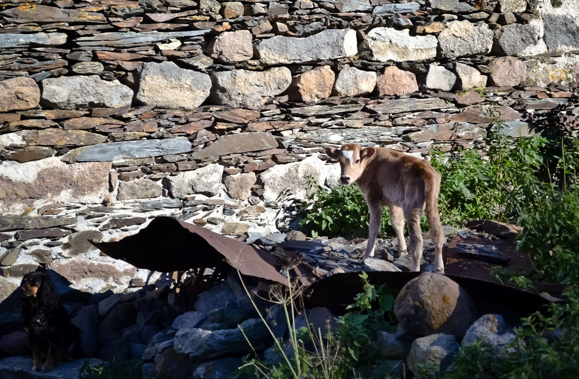 Гергети. Дорога к Храму