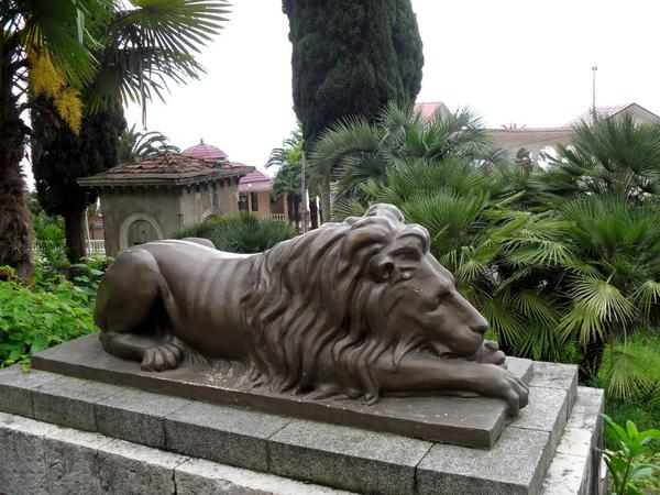 Гагра. Цветы и руины. Часть 2 Гагра. Цветы и руины. Часть 2