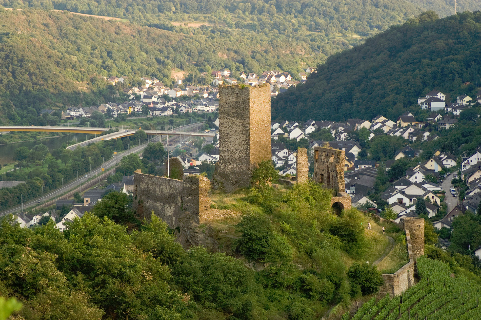 Мозель, Шампань, Аквитания 2010