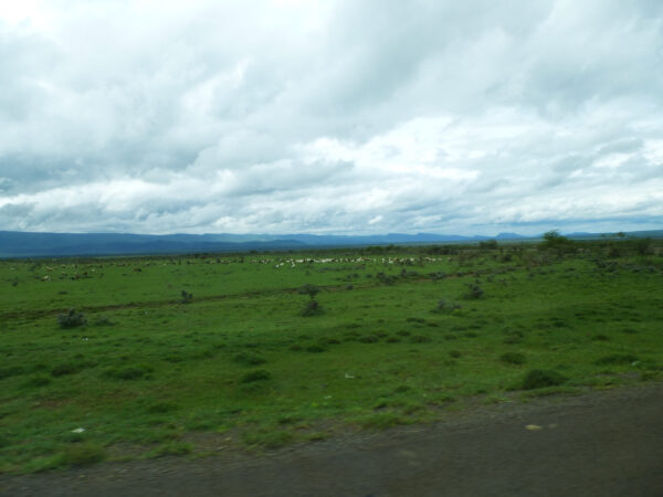 По&nbsp;пути к&nbsp;сердцу Африки&nbsp;&mdash; Кения